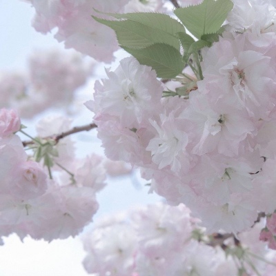 永靖FurryQQ群介绍